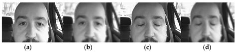 Driver Drowsiness Multi-Method Detection for Vehicles with Autonomous ...