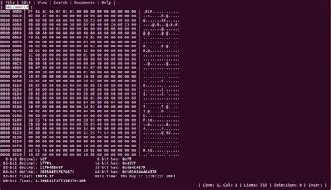 Image result for Linux Hex Editor Structures