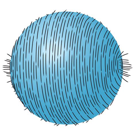 Math's 'Hairy Ball Theorem' Has Surprising Implications | Scientific ...