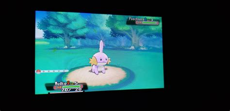 Image result for Shiny Hunting Omega Ruby