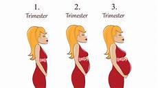 sauna schwangerschaft 1 trimester schwangerschaft alle trimester im 220 berblick sauna schwangerschaft 1 trimester schwangerschaft alle trimester im 220 berblick
