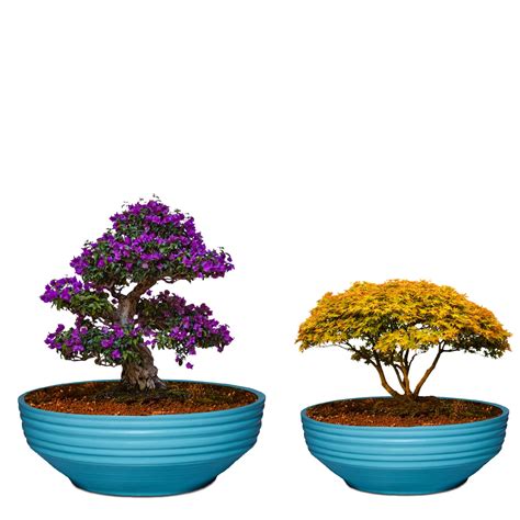 Lasaki Camry Aqua Set of 2 Ceramic Pots for Indoor Plants, Planters ...