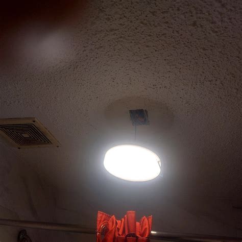 RODEWAY INN TAMPA NEAR BUSCH GARDENS-USF - Reviews & Photos - Tripadvisor