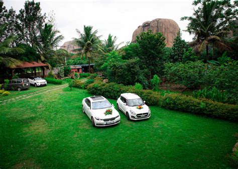 Mountain Bear Gallery | Wild Valley