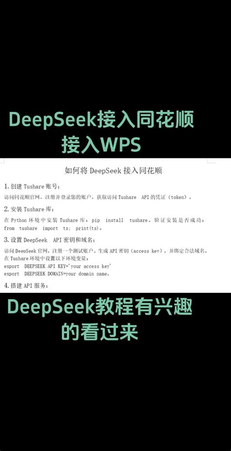 Deepseek API Key in the Code 的图像结果