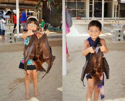 Family Trip to Bali: Economical, Exotic and Enjoyable!