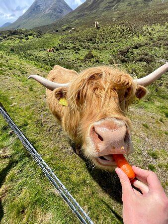 Tour Skye (Portree) - 2022 What to Know Before You Go (with Photos ...