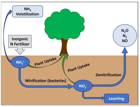 Recovering, Stabilizing, and Reusing Nitrogen and Carbon from Nutrient-Containing Liquid Waste ...