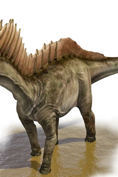 Water Dinosaurs Names