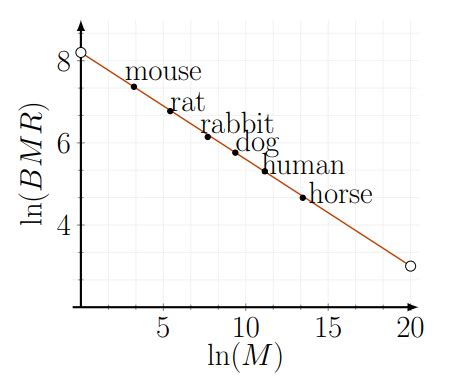 Image result for Log Cloud Method Math