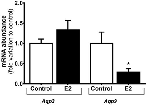 Cells | Special Issue : Aquaporins