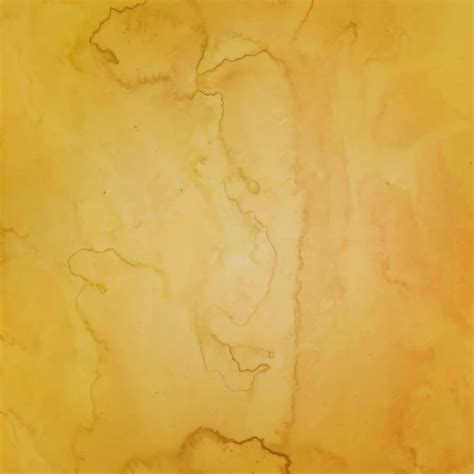 Parchment paper Vectors - Download Free High-Quality Vectors from ...