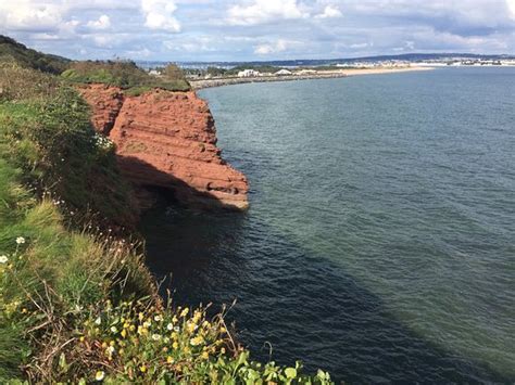 Dawlish Tourism (2024): All You Need to Know Before You Go