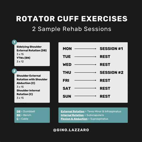 The BEST Exercises for the Rotator Cuff (Based on Science) - Gino Lazzaro