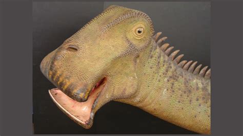 Did you know that there was a dinosaur with 500 teeth called Nigersaurus?