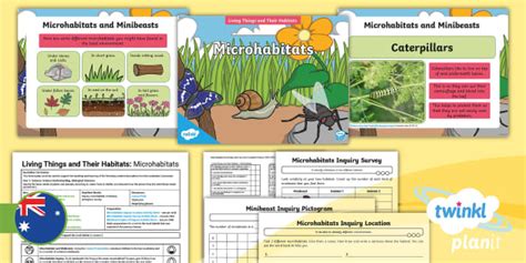 Year 1 Science Living Things and Their Habitats Lesson 3