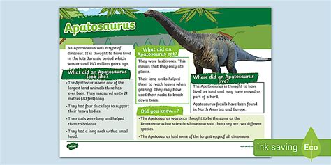 Apatosaurus Fact File - KS1 - Dinosaurs (teacher made)