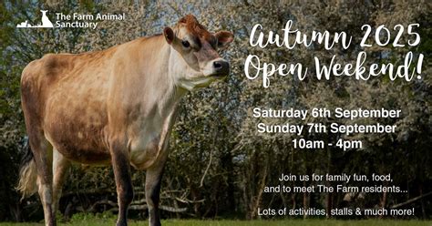 The Farm - Open Weekend - Autumn 2025, Manor Orchard Farm, School Lane ...