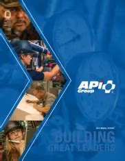 Image result for API Group Website