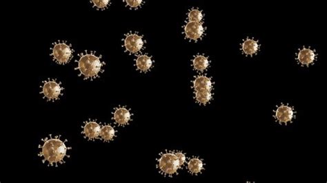 Image result for Germs Animated