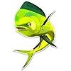 GT Graphics Mahi Mahi Fish - Vinyl Sticker India | Ubuy