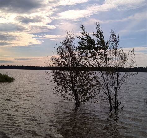 MUSKALLONGE LAKE STATE PARK (2025) All You Need to Know BEFORE You Go ...