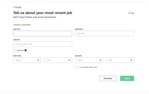 18+ Professional CV Templates: Curriculum Vitae to Download