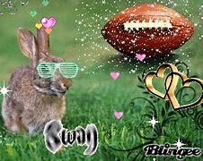 Image result for Fluffy Baby Bunnies Outside