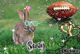 Image result for Two Bunnies