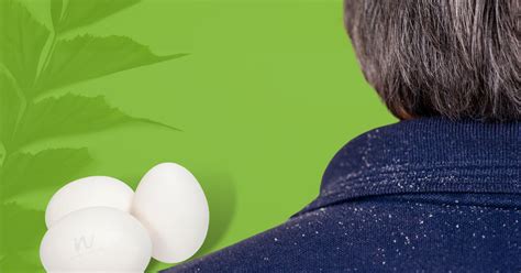Is Egg white good for dandruff? – Nature4Nature