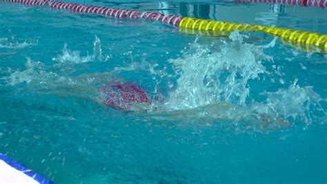 Swimmer Starting Block 的图像结果