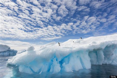 如果南极冰川融化，南极洲属于哪个国家？|领土|南极洲|新西兰_新浪新闻