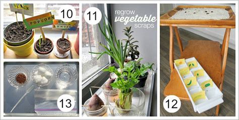 Image result for Spring Science Activities