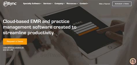 Insync EMR Tutorial 的图像结果