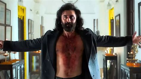 Animal Box Office Collection Day 25: Ranbir Kapoor's Film Earns Rs 537. ...