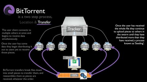 BitTorrent Tutorial 的图像结果