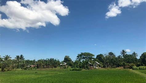 SONRISA FARM (2026) All You Need to Know BEFORE You Go (with Photos ...