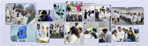 About Us - Know More About SEART, Gurgaon