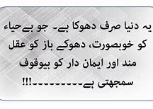 Self respect quotes in urdu