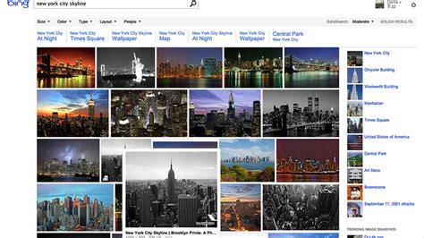 New Bing Image Search 的图像结果
