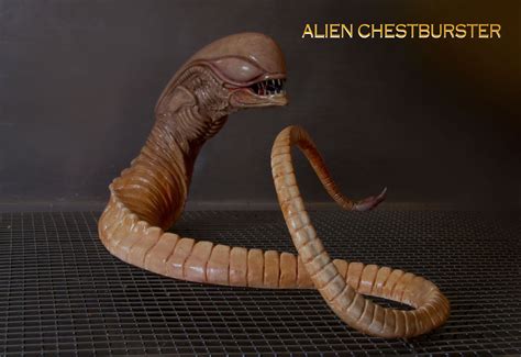 Chestburster Scene in Alien Extended 的图像结果