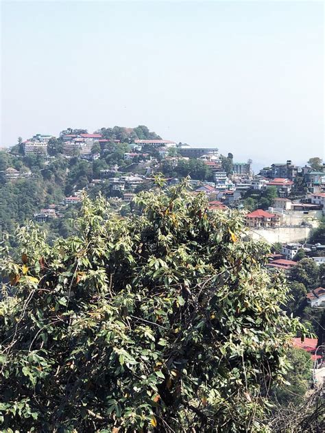 PUSHP HOME STAY (Mussoorie) - Lodging Reviews, Photos, Rate Comparison ...