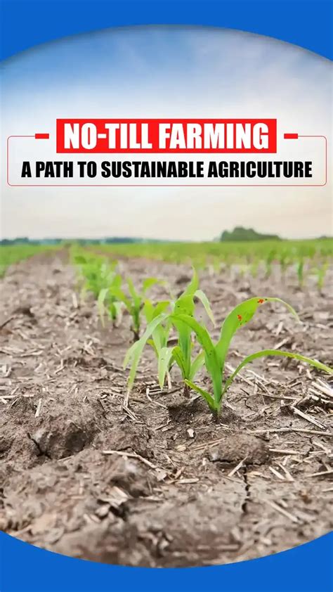 No-Till Farming in SD 的图像结果