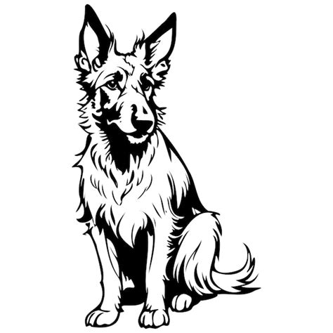 Berger picard drawing vector realistic outline animal silhouette ...