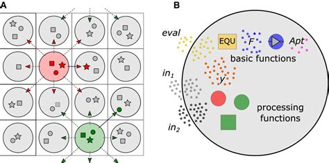 Cellular Model Simulation 的图像结果