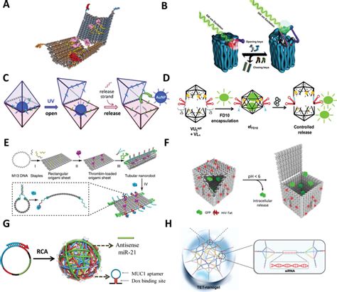 Image result for DNA Cargo Box