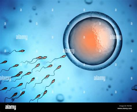 Artificial insemination hi-res stock photography and images - Alamy