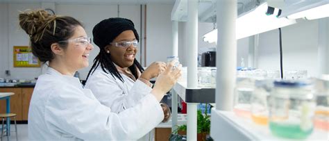 Biotechnology Training Programs 的图像结果