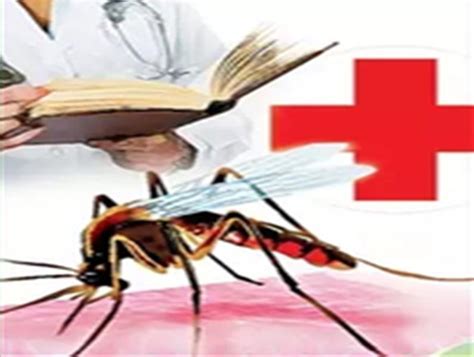 Climate change responsible for 19 pc of rising dengue cases: Study ...