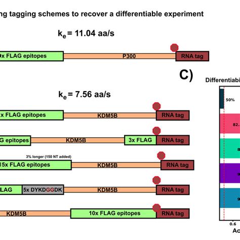 Image result for Tag System Image Example